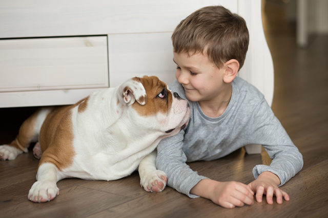 What Does FloorScore Certification Mean for Your Family?