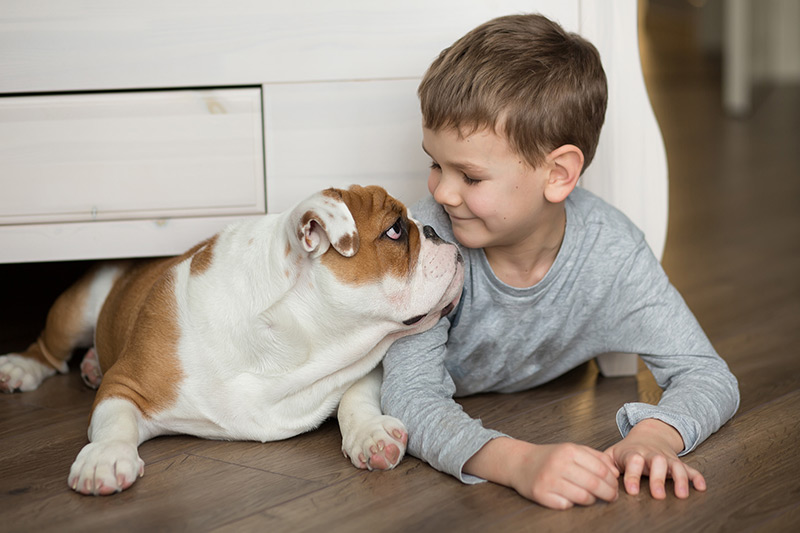 What Does FloorScore Certification Mean for Your Family?