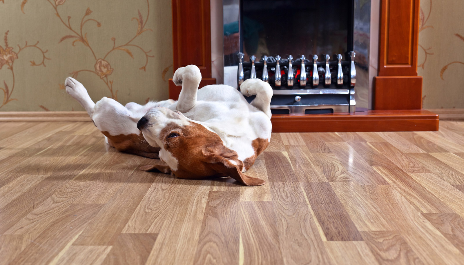 luxury vinyl flooring warranties